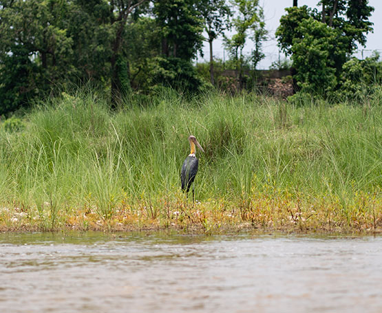 Riverbank Experience