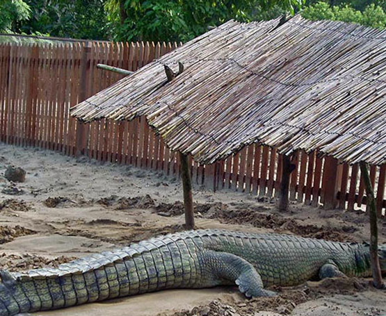 Riverbank Experience