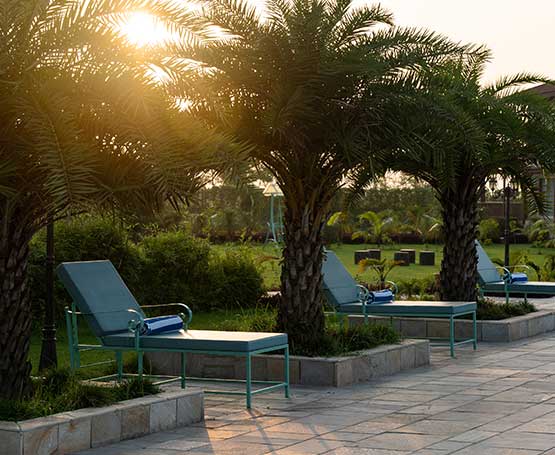 Riverbank Experience