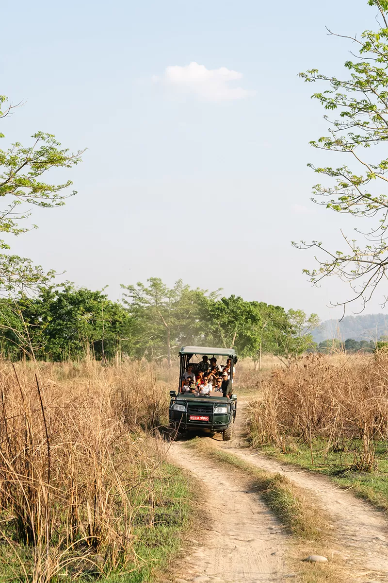 Best Time to visit Chitwan National Park