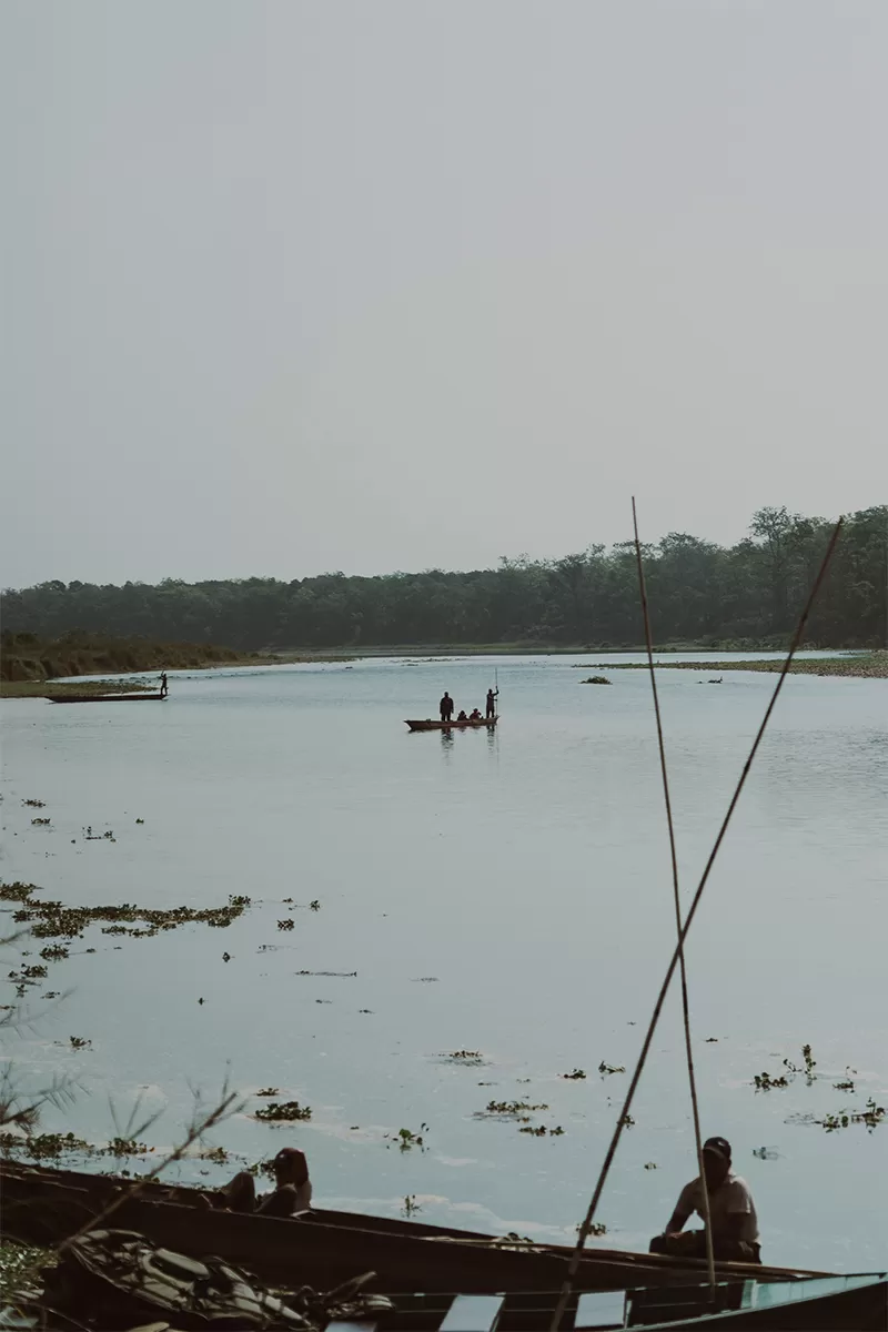 15 Incredible Things to Do in Chitwan Nepal (Beyond Just the Safari)