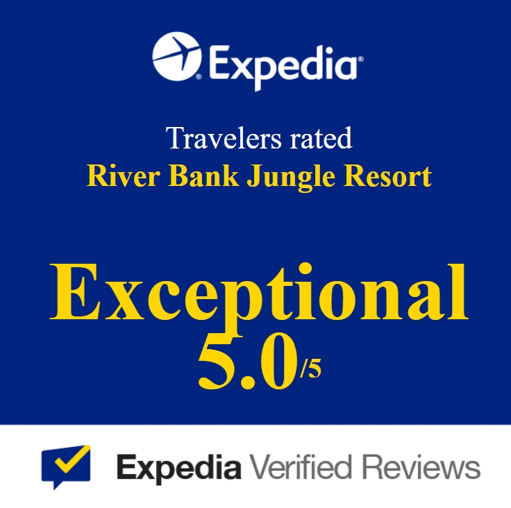Expedia